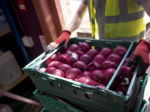 Container of red onions at the Lisburn foodbank