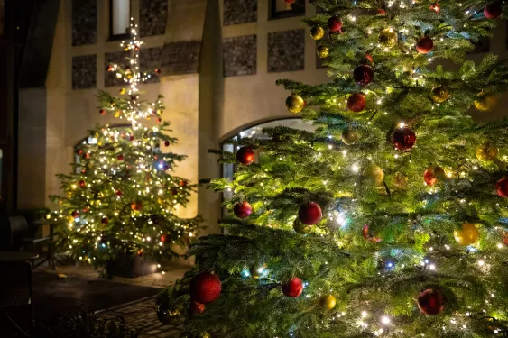Two Christmas trees decorated with colourful bobbles and lights.